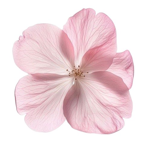 Flores decorativas